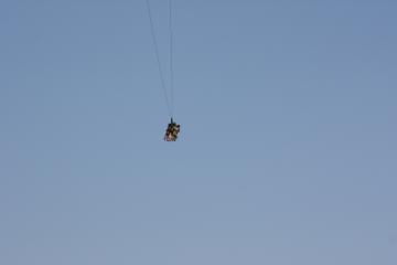 ... and there they go...