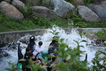 splash 2