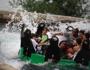 Robert splash 2