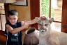 Jonathan sees a mountain lion