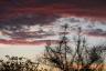 Terlingua sunrise