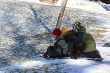 Triple sled
