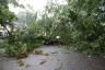 Lots of Rain, Tree comes down, no electricity
