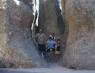 Family by Needle Rock