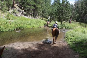Crossing the stream
