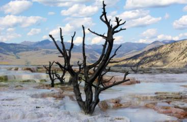 Mammoth Hot Springs - Yellowstone