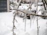 End Feb Snow and Ice Storm