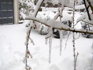 End Feb Snow and Ice Storm