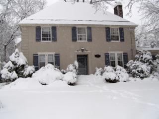 snowy