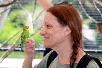 A parakeet
