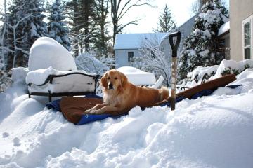 Dakota watches Nancy shovel