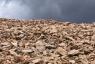 Rocky Mountains
