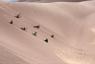 Rolling down the Dunes