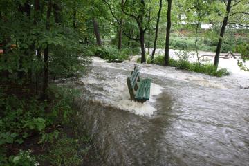 Hurricane Irene - Park bench