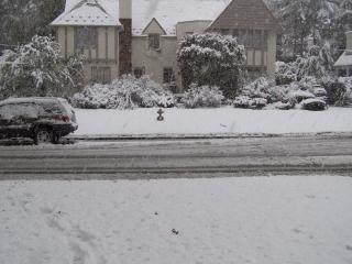 Freak Halloween snow storm